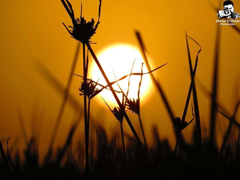 14855_219849451542757_647710125_n