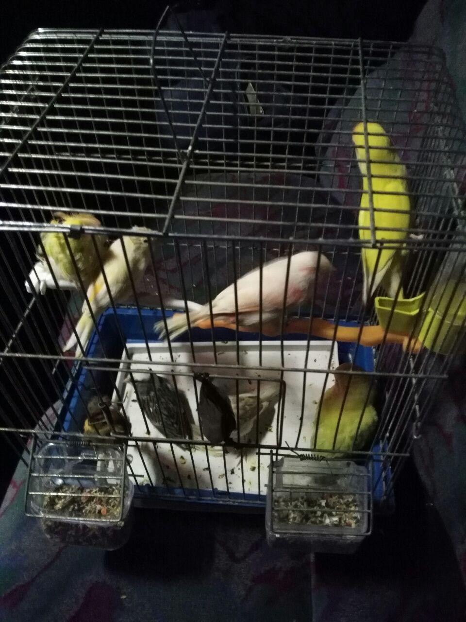 photo_2017-01-15_00-57-28