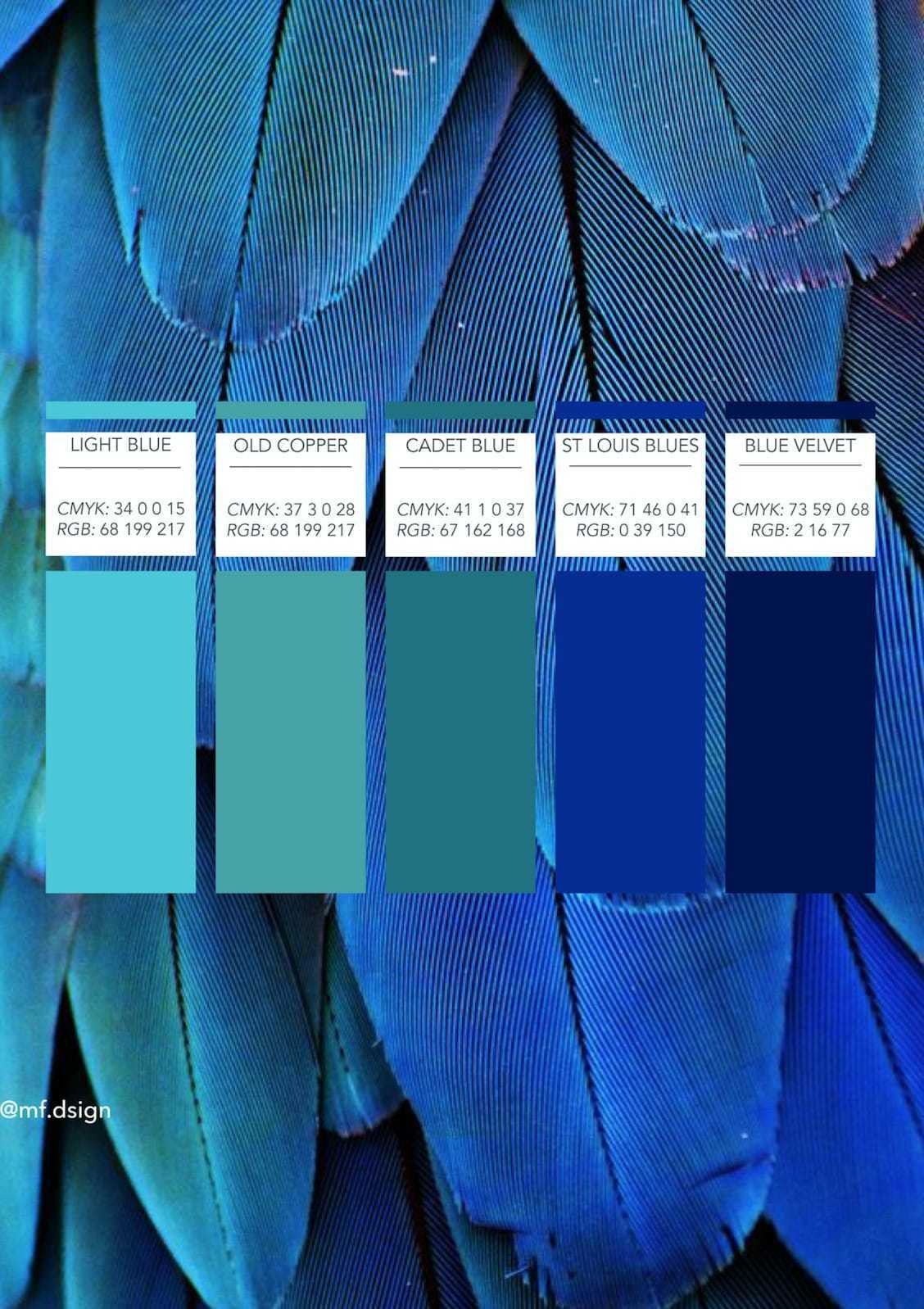 design-color-palettes-according-to-your-needs