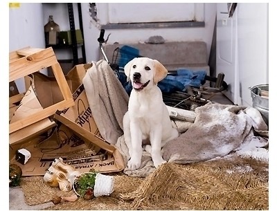 20160915-10266-t4smk7