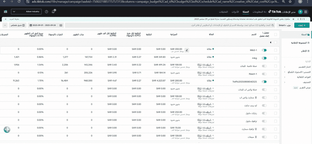 نتائج الحملات على تيك توك