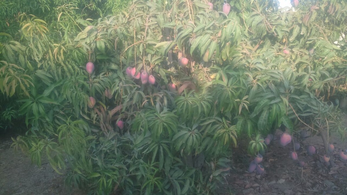 51bb6873-544f-4377-b73b-98babc09c9f7