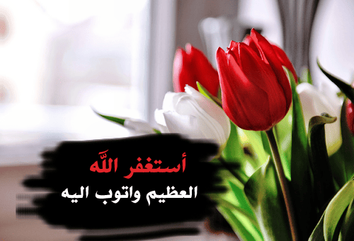 large_فففعت4ث