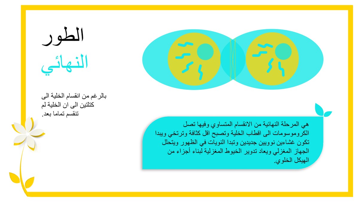 2c35ee775c1be0f5abbaa40beb9a6ef6-12