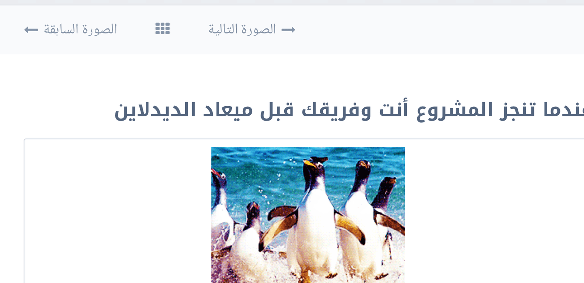 Screen_Shot_2016-02-22_at_3.00.55_PM