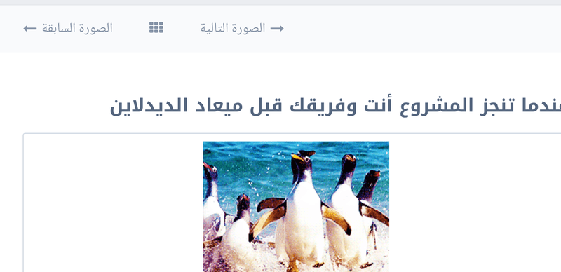 Screen_Shot_2016-02-22_at_3.00.55_PM