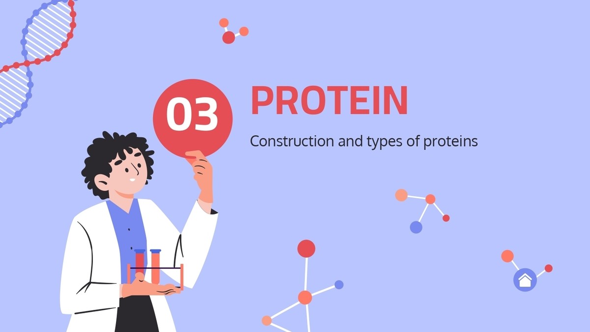 Central_dogma___Protein_synthesis_page-0013