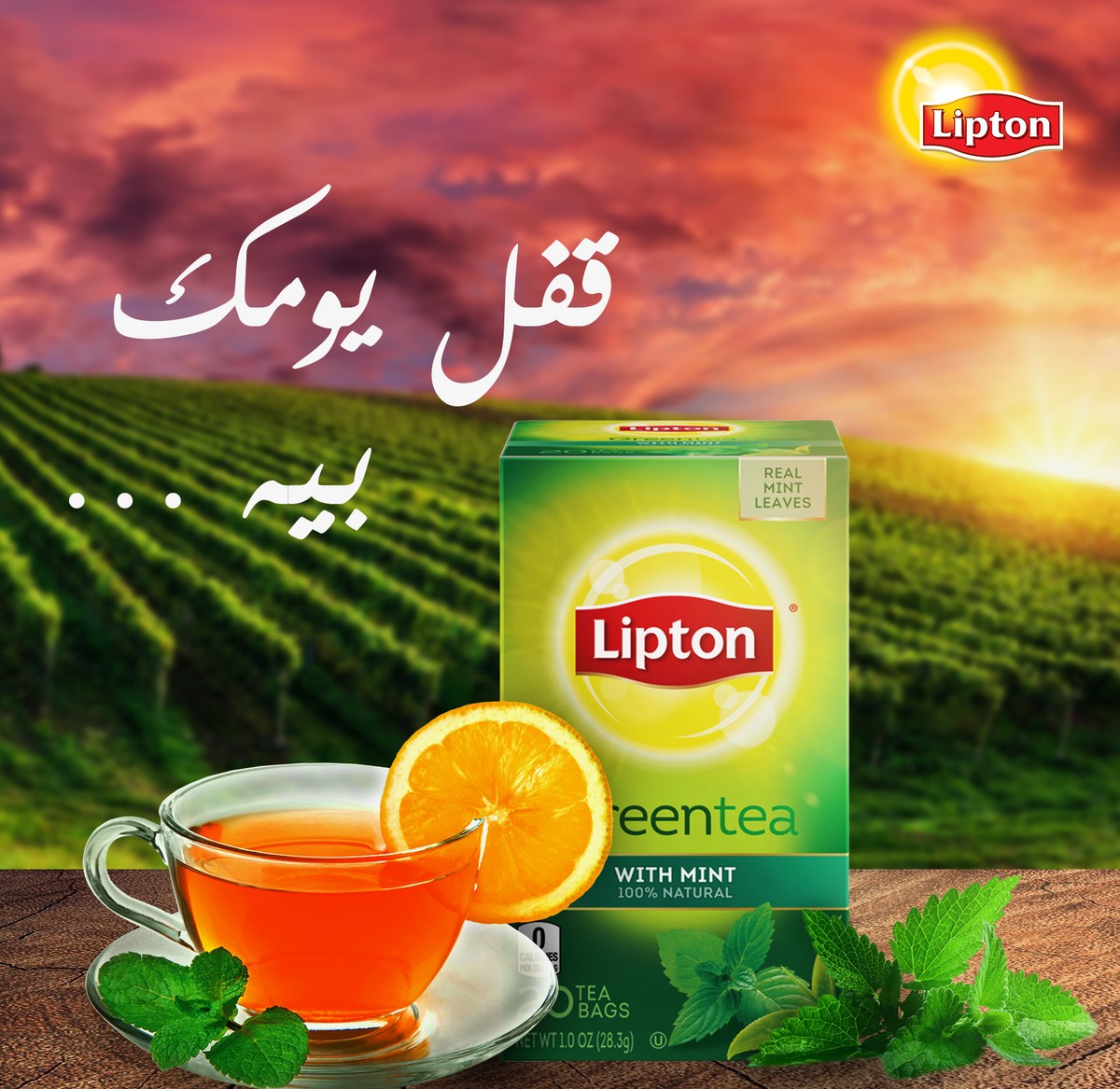 Lipton