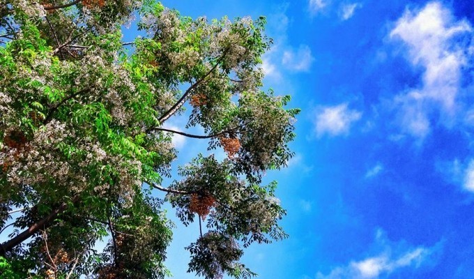 20161005-13069-9qzhd0