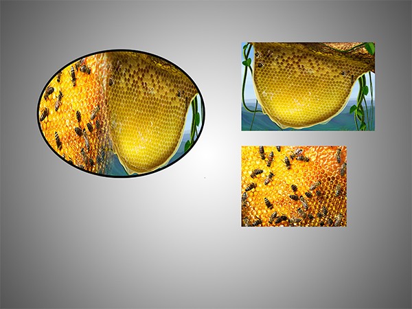 الدمج_الاحترافي