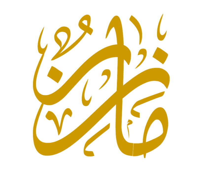 2016-11-23_21-33-08_vectorized