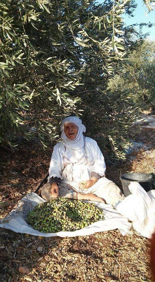 IMG-20181223-WA0009