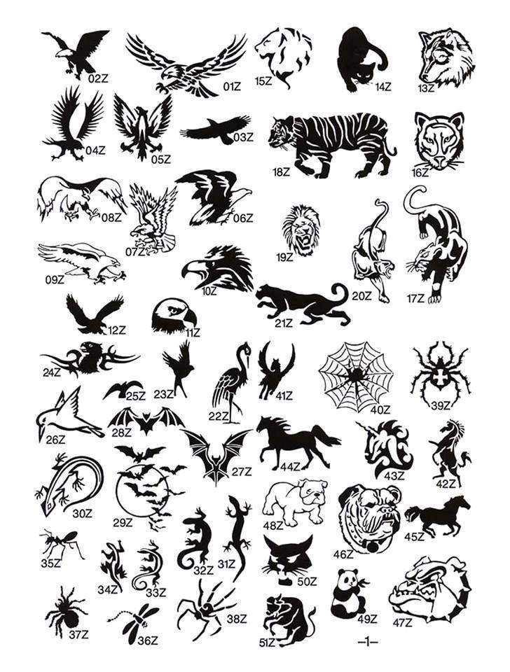 11898930_794385610681009_4012735930161421686_n