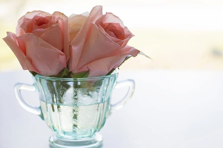 rose-pink-roses-tea-cup-vintage-bloom-background-romantic-teacup-table