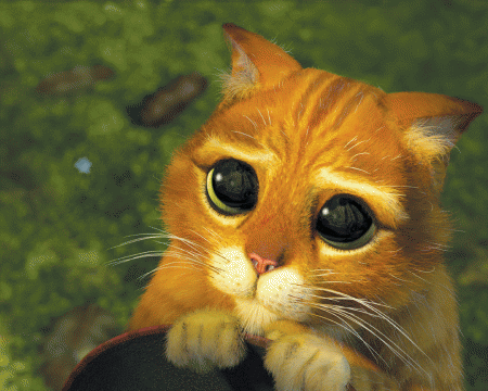 20160924-6210-a3cryg