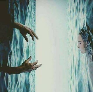 17022532_216991208707022_5507190904062385913_n