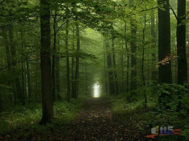 world-pictures-nature-new-21