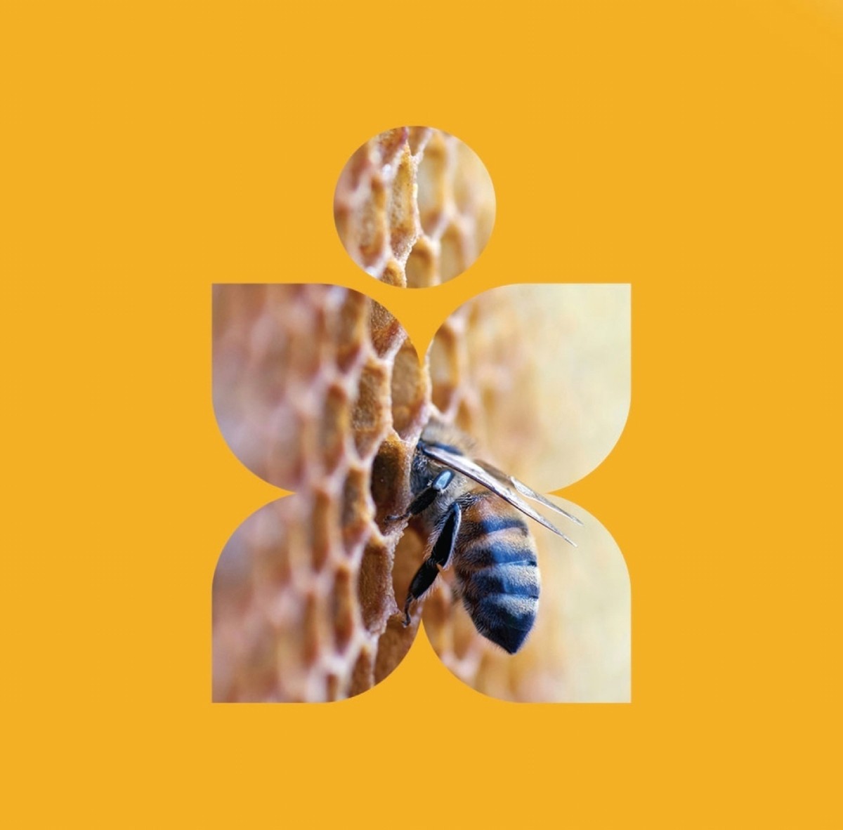 Screenshot_20250226_162537_com_hihonor_photos_SlotAlbumActivity_edit_989409467852567