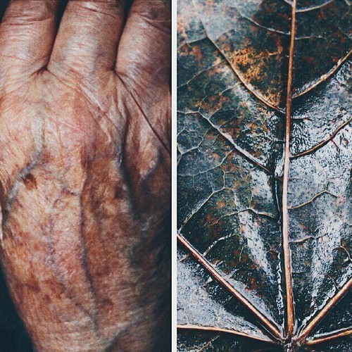 tumblr_nh1m90u1HS1qd9diho1_500