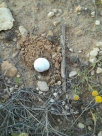 17884320_10211244568061579_1908681922255446858_n