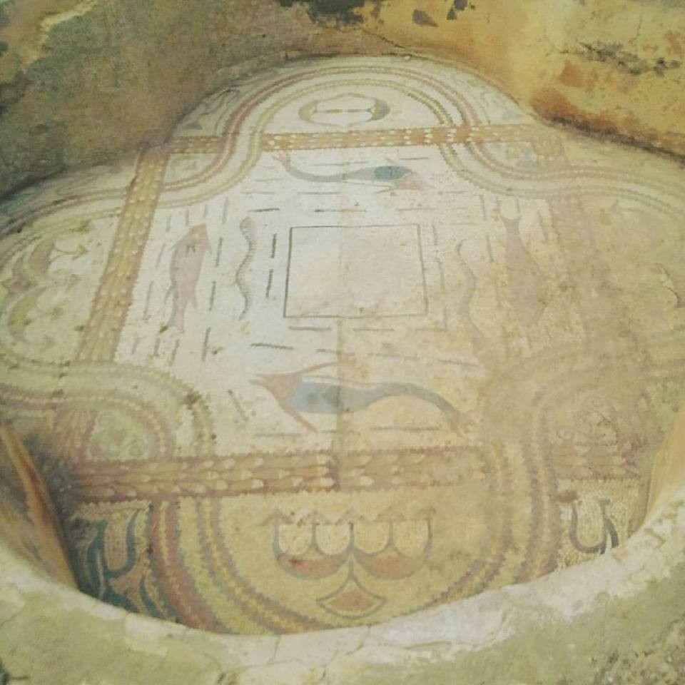 19553960_10211906569971213_460330141805841917_n