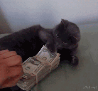 love_the_money