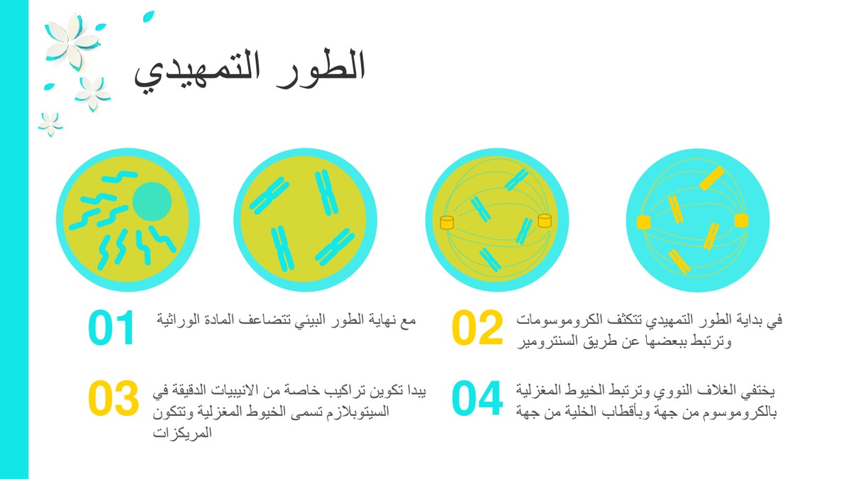 2c35ee775c1be0f5abbaa40beb9a6ef6-6