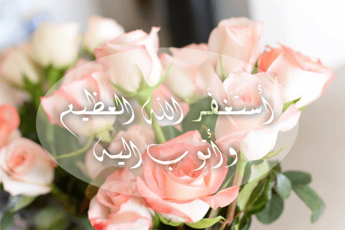large_ىىىىىىىىىىىىىىىىىcopy