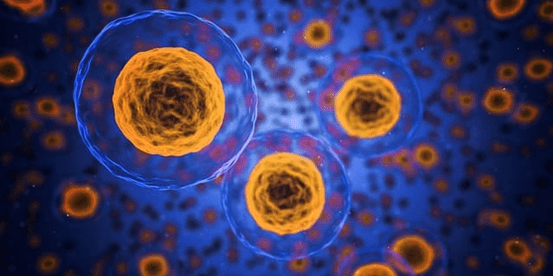 علاج سرطان الدم باستخدام الخلايا التائية CAR-T L