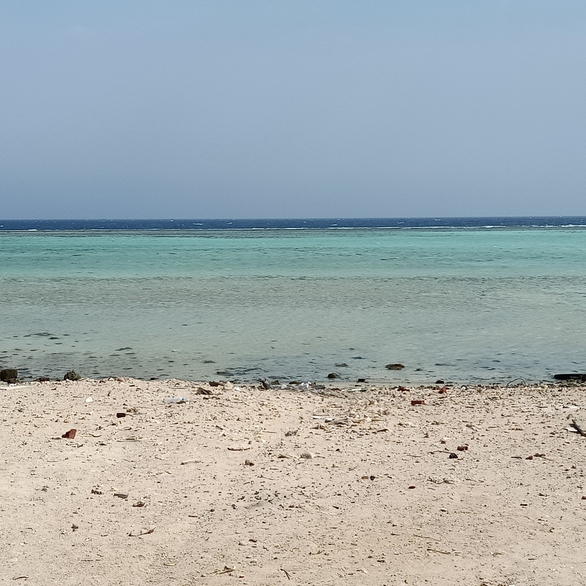 IMG20191016114015