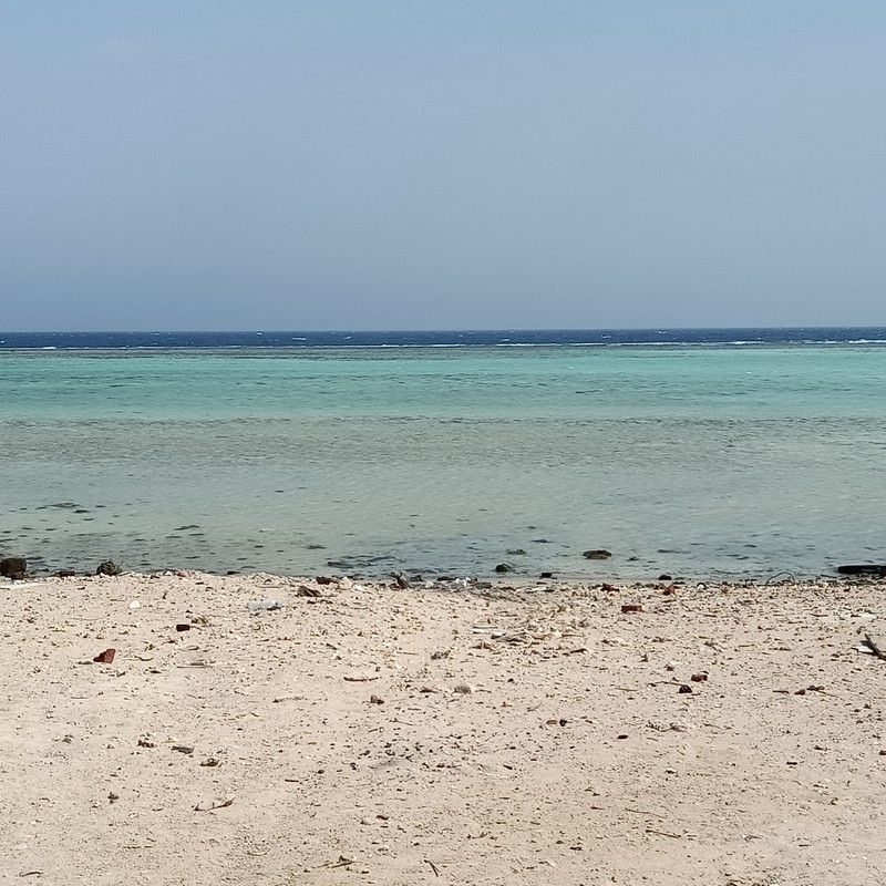 IMG20191016114015