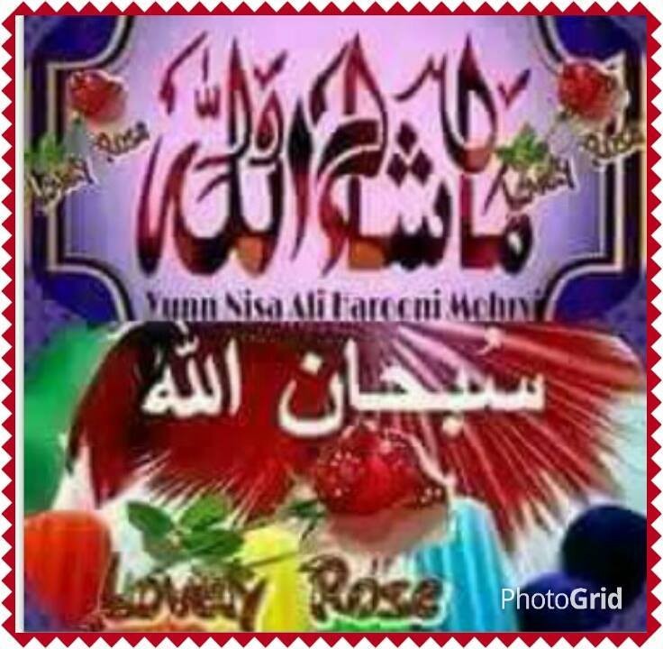 535203_1003621836365582_6442897221515274331_n