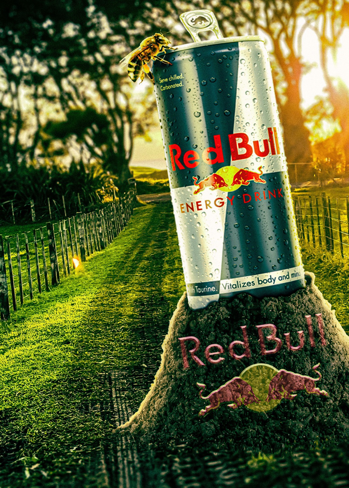 redbull-design