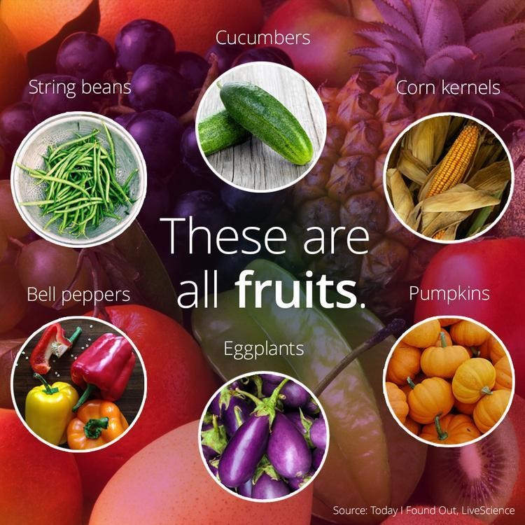 9f135eb5-2a39-4690-a970-c51c4b373d3d