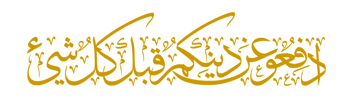 2017-03-06_5-18-20_vectorized