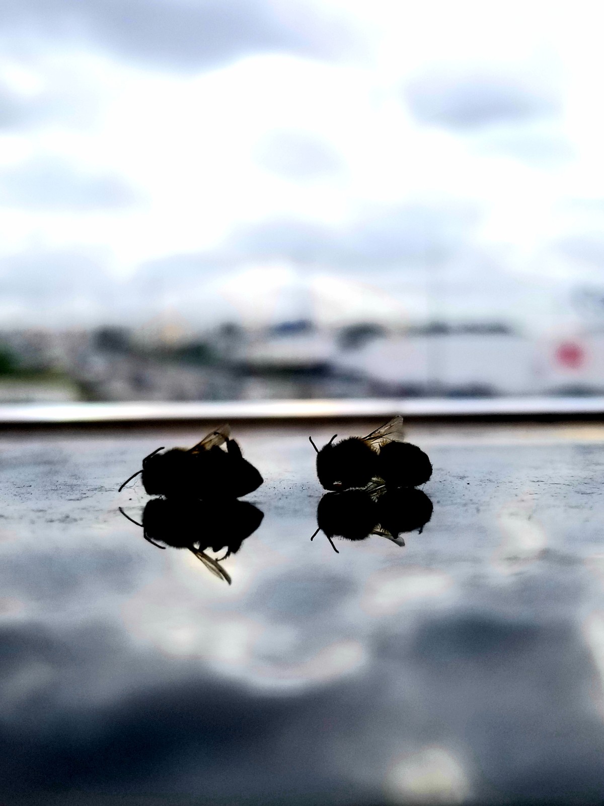 20191212_133953