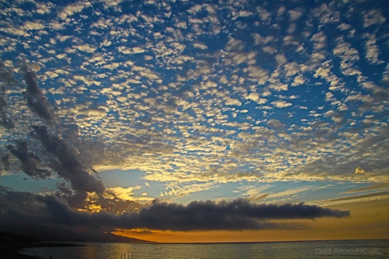 12045761_10206522154106927_2768595250826256439_o