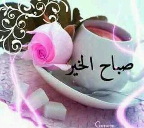 FB_IMG_14619229526172980