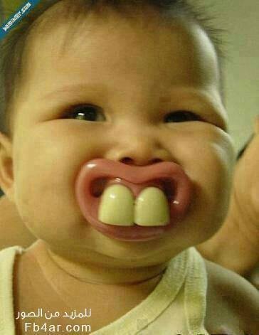 1457536_1389711917940986_1377648162_n