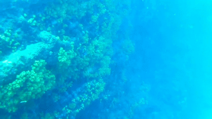 20160801-32303-cdk4nw