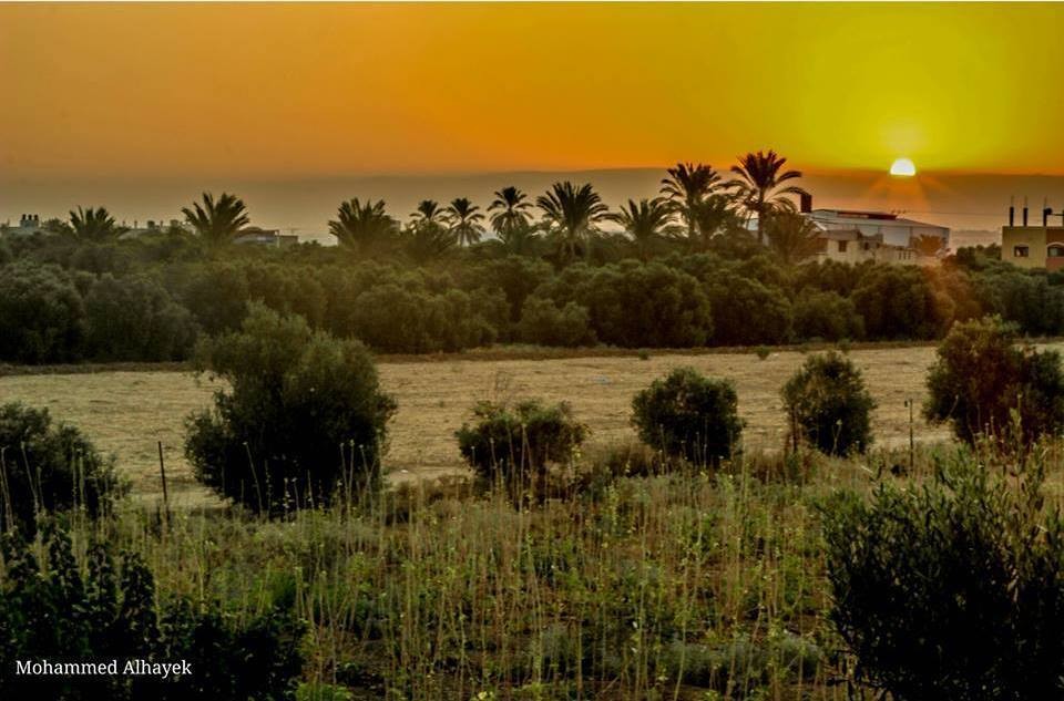 20160508-4203-1hzs6a3