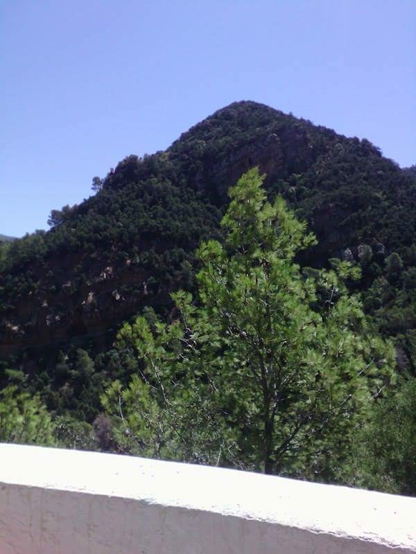 received_628947720607518