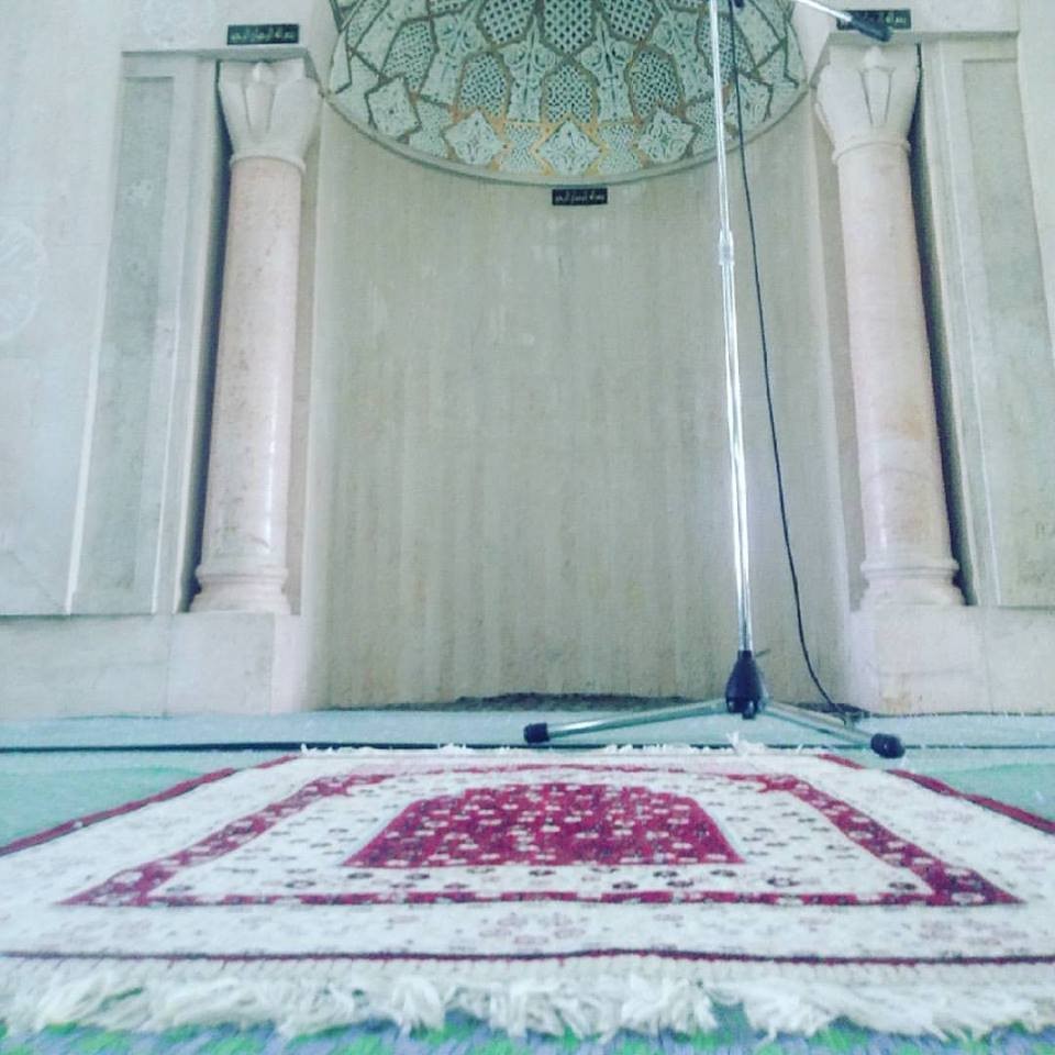 20768089_10212353678268641_5035107160166013028_n