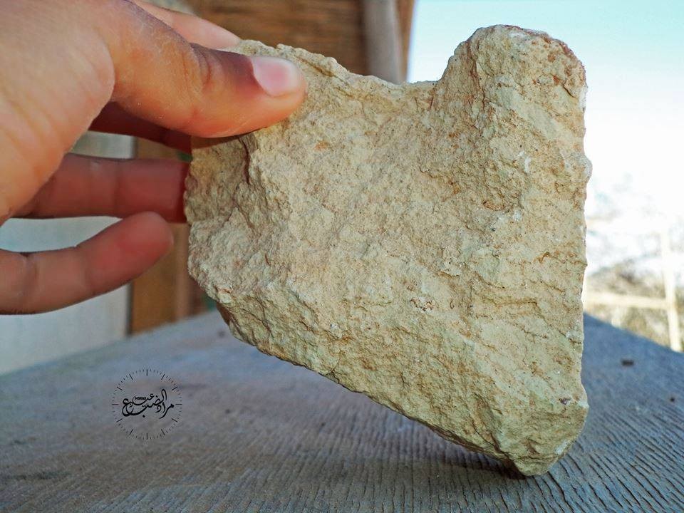 15420959_933196953480960_6884852353197978045_n