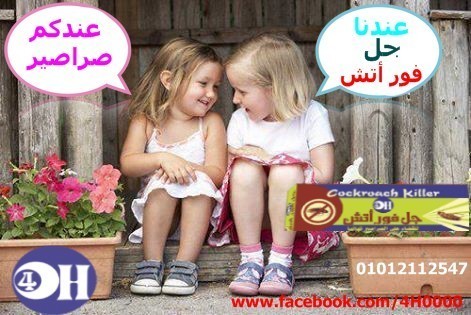 معنا لاوجود للحشرات