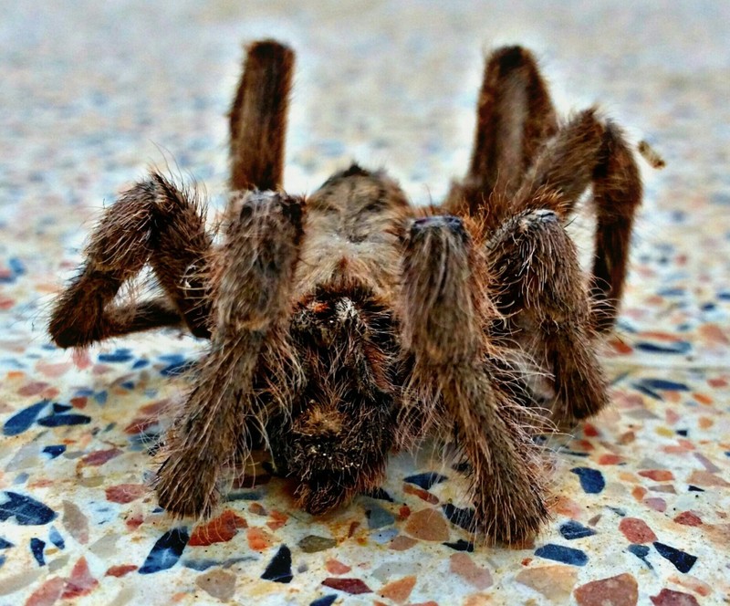 PicsArt_11-19-11.15.30