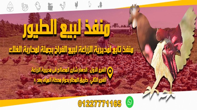 مقاس_الموبايل