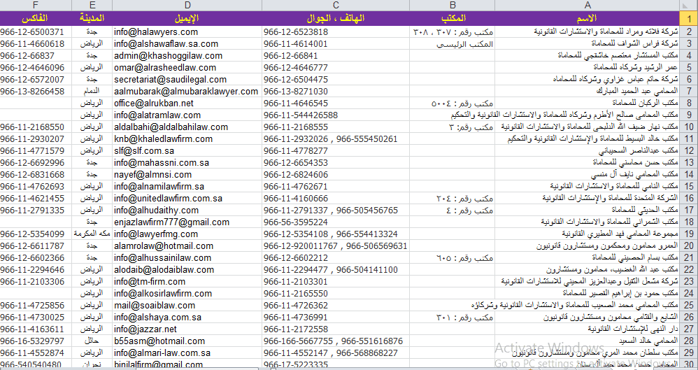 إدخال بيانات قائمة محامين (Excel)
