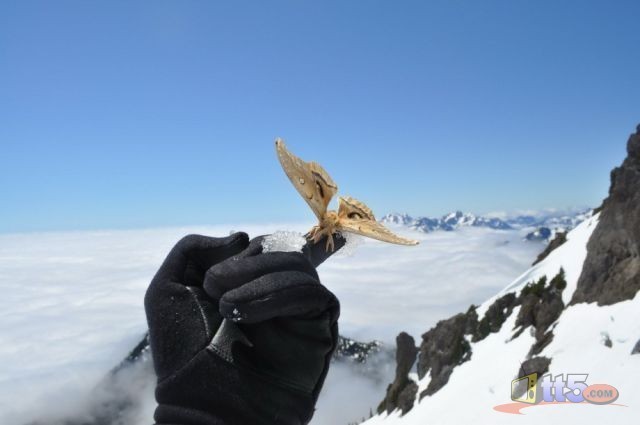 world-pictures-nature-new-63