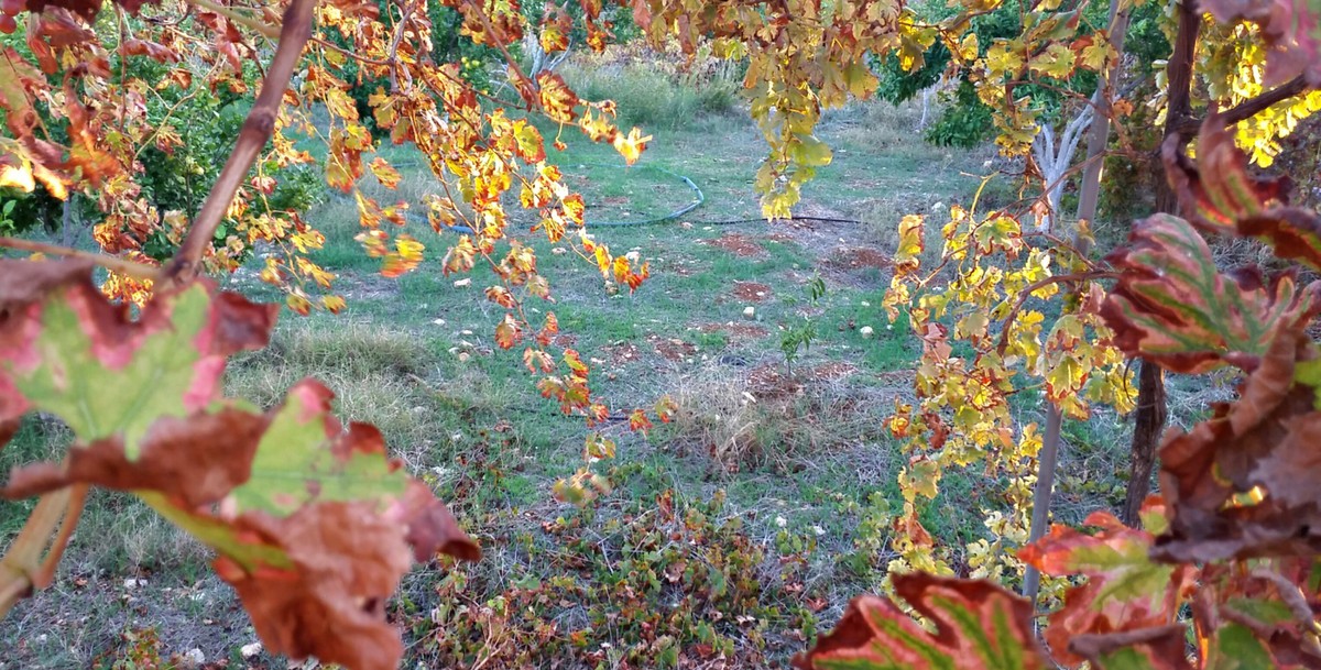 PicsArt_11-19-10.50.01